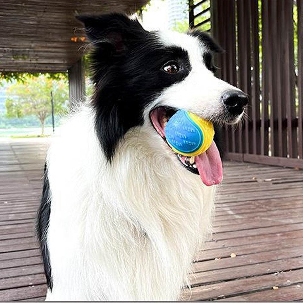 Bestie 2 Beast Bite Resistant Rubber Ball